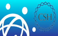 mark-seeley-csh-logo